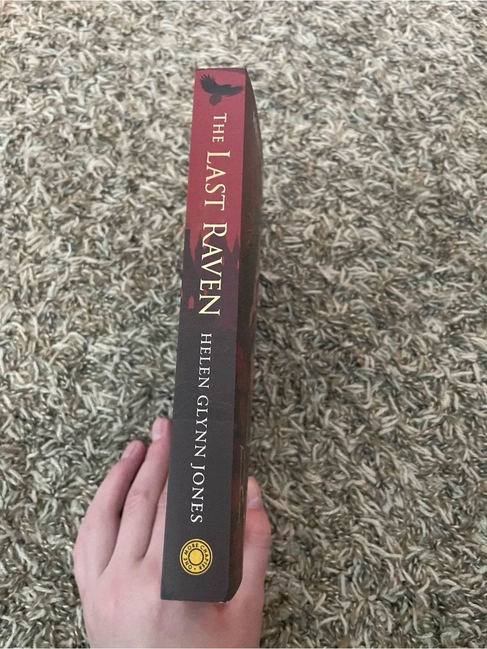 The Last Raven by Helen Glynn Jones - Red Cover Novel